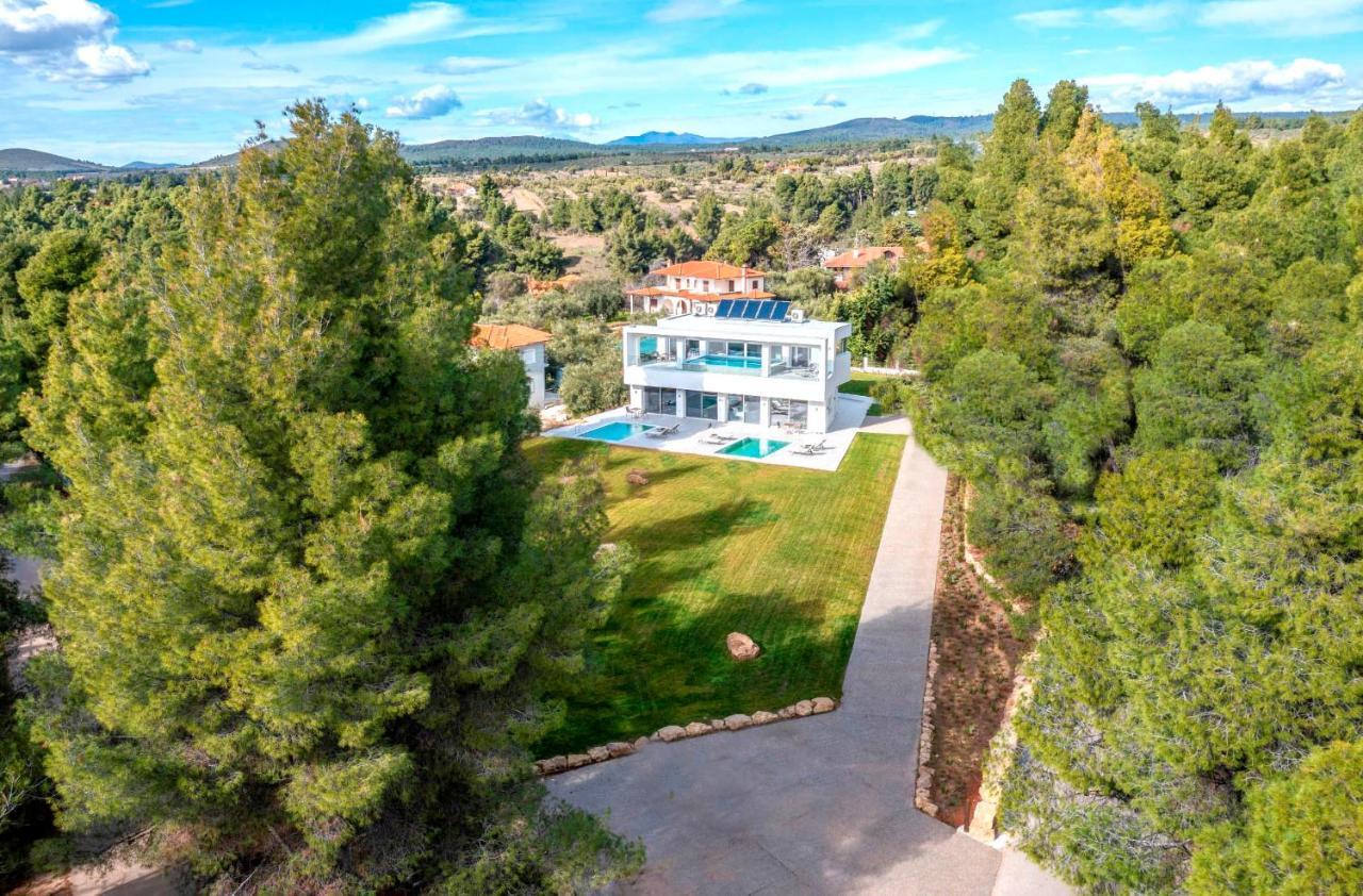 Nikiti Botanic Pool Suites Экстерьер фото